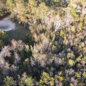 Photo #18 of SOLD property in Off Launch Drive, Bolivia, NC 32.2 acres