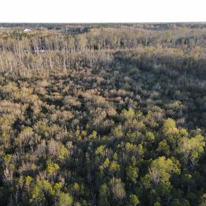 Photo #20 of SOLD property in Off Launch Drive, Bolivia, NC 32.2 acres