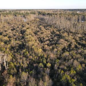 Photo #21 of SOLD property in Off Launch Drive, Bolivia, NC 32.2 acres