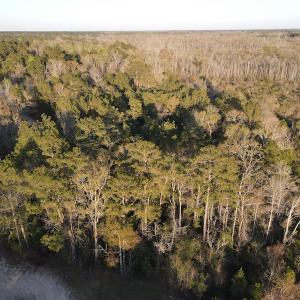 Photo #22 of SOLD property in Off Launch Drive, Bolivia, NC 32.2 acres