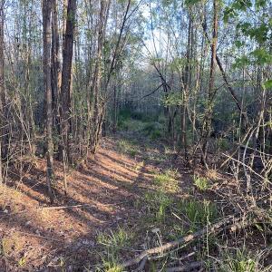Photo #27 of SOLD property in Off Launch Drive, Bolivia, NC 32.2 acres