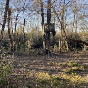 Photo #28 of SOLD property in Off Launch Drive, Bolivia, NC 32.2 acres
