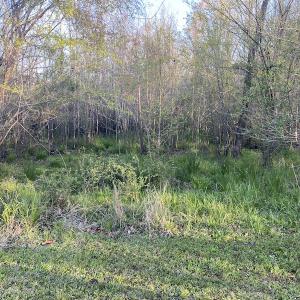 Photo #30 of SOLD property in Off Launch Drive, Bolivia, NC 32.2 acres