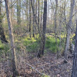 Photo #31 of SOLD property in Off Launch Drive, Bolivia, NC 32.2 acres