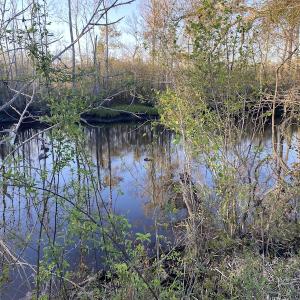 Photo #33 of SOLD property in Off Launch Drive, Bolivia, NC 32.2 acres