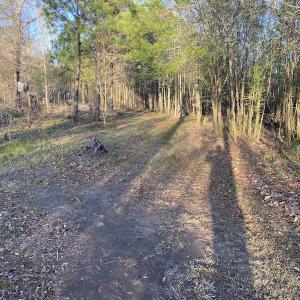 Photo #35 of SOLD property in Off Launch Drive, Bolivia, NC 32.2 acres