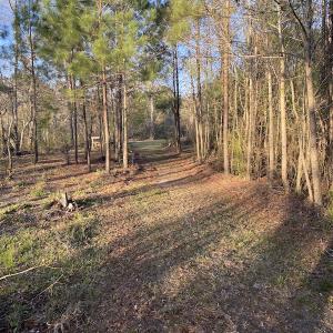 Photo #36 of SOLD property in Off Launch Drive, Bolivia, NC 32.2 acres