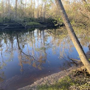 Photo #37 of SOLD property in Off Launch Drive, Bolivia, NC 32.2 acres
