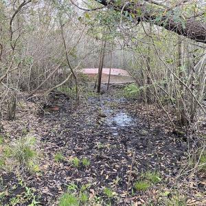 Photo #41 of SOLD property in Off Launch Drive, Bolivia, NC 32.2 acres