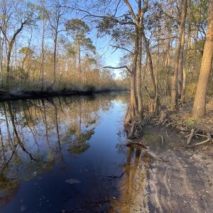 Photo #47 of SOLD property in Off Launch Drive, Bolivia, NC 32.2 acres