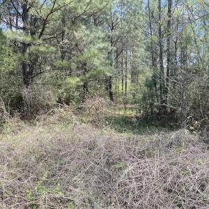 Photo #5 of SOLD property in Off S NC 903 HWY, Rose Hill, NC 9.1 acres