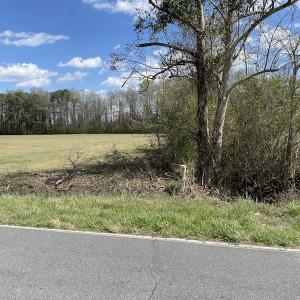 Photo #3 of SOLD property in Off Pope Road, Rose Hill, NC 14.1 acres