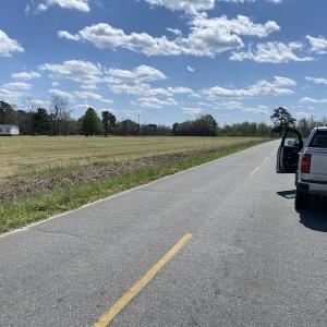 Photo #5 of SOLD property in Off Pope Road, Rose Hill, NC 14.1 acres