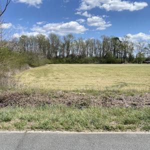 Photo #7 of SOLD property in Off Pope Road, Rose Hill, NC 14.1 acres