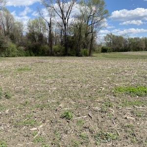 Photo #2 of Off Euray Moore Road, Warsaw, NC 8.2 acres