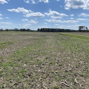 Photo #3 of Off Euray Moore Road, Warsaw, NC 8.2 acres