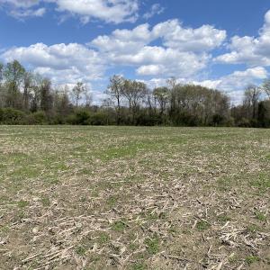 Photo #4 of Off Euray Moore Road, Warsaw, NC 8.2 acres
