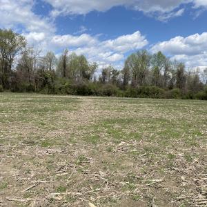 Photo #5 of Off Euray Moore Road, Warsaw, NC 8.2 acres