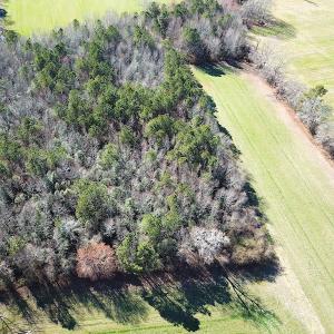 Photo #5 of SOLD property in Off Holly Run Drive, Carrsville, VA 22.7 acres