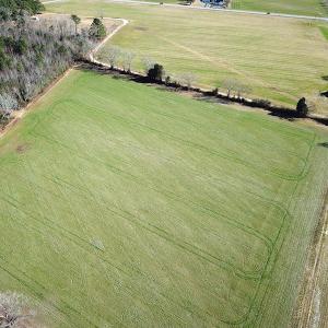 Photo #8 of SOLD property in Off Holly Run Drive, Carrsville, VA 22.7 acres