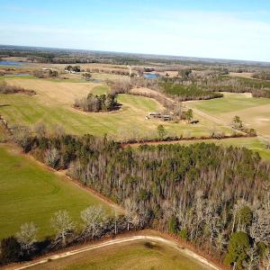 Photo #10 of SOLD property in Off Holly Run Drive, Carrsville, VA 22.7 acres