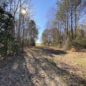 Photo #15 of SOLD property in Off Holly Run Drive, Carrsville, VA 22.7 acres