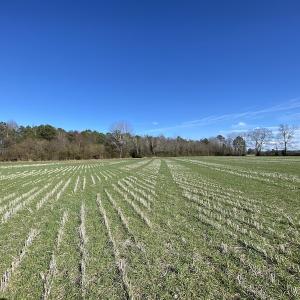 Photo #18 of SOLD property in Off Holly Run Drive, Carrsville, VA 22.7 acres