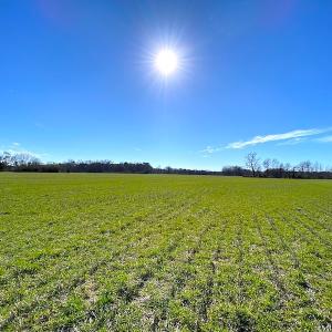 Photo #19 of SOLD property in Off Holly Run Drive, Carrsville, VA 22.7 acres