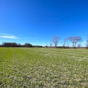 Photo #20 of SOLD property in Off Holly Run Drive, Carrsville, VA 22.7 acres