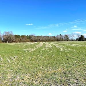 Photo #21 of SOLD property in Off Holly Run Drive, Carrsville, VA 22.7 acres