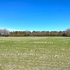 Photo #22 of SOLD property in Off Holly Run Drive, Carrsville, VA 22.7 acres