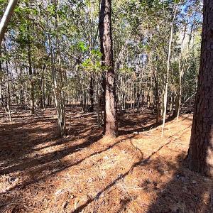 Photo #24 of SOLD property in Off Holly Run Drive, Carrsville, VA 22.7 acres