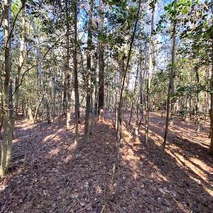 Photo #25 of SOLD property in Off Holly Run Drive, Carrsville, VA 22.7 acres