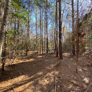 Photo #29 of SOLD property in Off Holly Run Drive, Carrsville, VA 22.7 acres