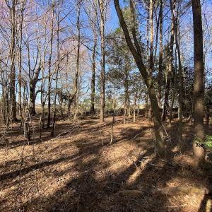 Photo #33 of SOLD property in Off Holly Run Drive, Carrsville, VA 22.7 acres