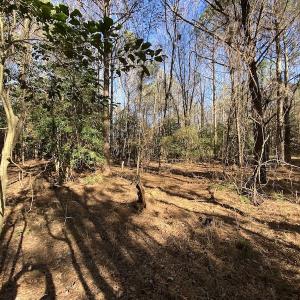 Photo #34 of SOLD property in Off Holly Run Drive, Carrsville, VA 22.7 acres