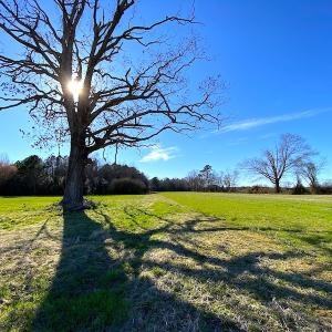 Photo #36 of SOLD property in Off Holly Run Drive, Carrsville, VA 22.7 acres