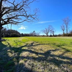 Photo #37 of SOLD property in Off Holly Run Drive, Carrsville, VA 22.7 acres