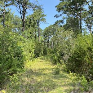Photo #2 of SOLD property in Off Styron Creek Road, Sealevel, NC 105.0 acres