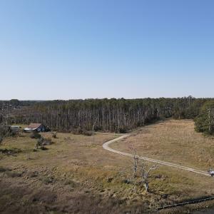 Photo #2 of 178 Mill Point Lane, Williston, NC 42.6 acres