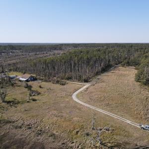 Photo #3 of 178 Mill Point Lane, Williston, NC 42.6 acres