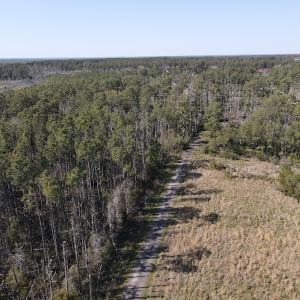 Photo #6 of 178 Mill Point Lane, Williston, NC 42.6 acres