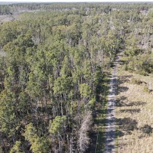 Photo #9 of 178 Mill Point Lane, Williston, NC 42.6 acres