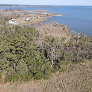 Photo #11 of 178 Mill Point Lane, Williston, NC 42.6 acres