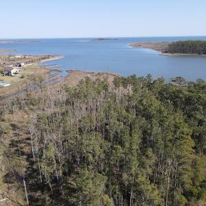 Photo #17 of 178 Mill Point Lane, Williston, NC 42.6 acres