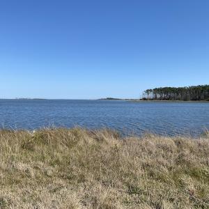 Photo #19 of 178 Mill Point Lane, Williston, NC 42.6 acres