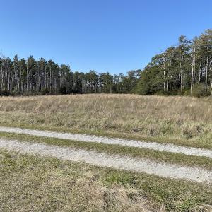 Photo #21 of 178 Mill Point Lane, Williston, NC 42.6 acres