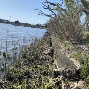Photo #25 of 178 Mill Point Lane, Williston, NC 42.6 acres