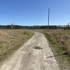 Photo #33 of 178 Mill Point Lane, Williston, NC 42.6 acres