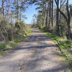 Photo #37 of 178 Mill Point Lane, Williston, NC 42.6 acres